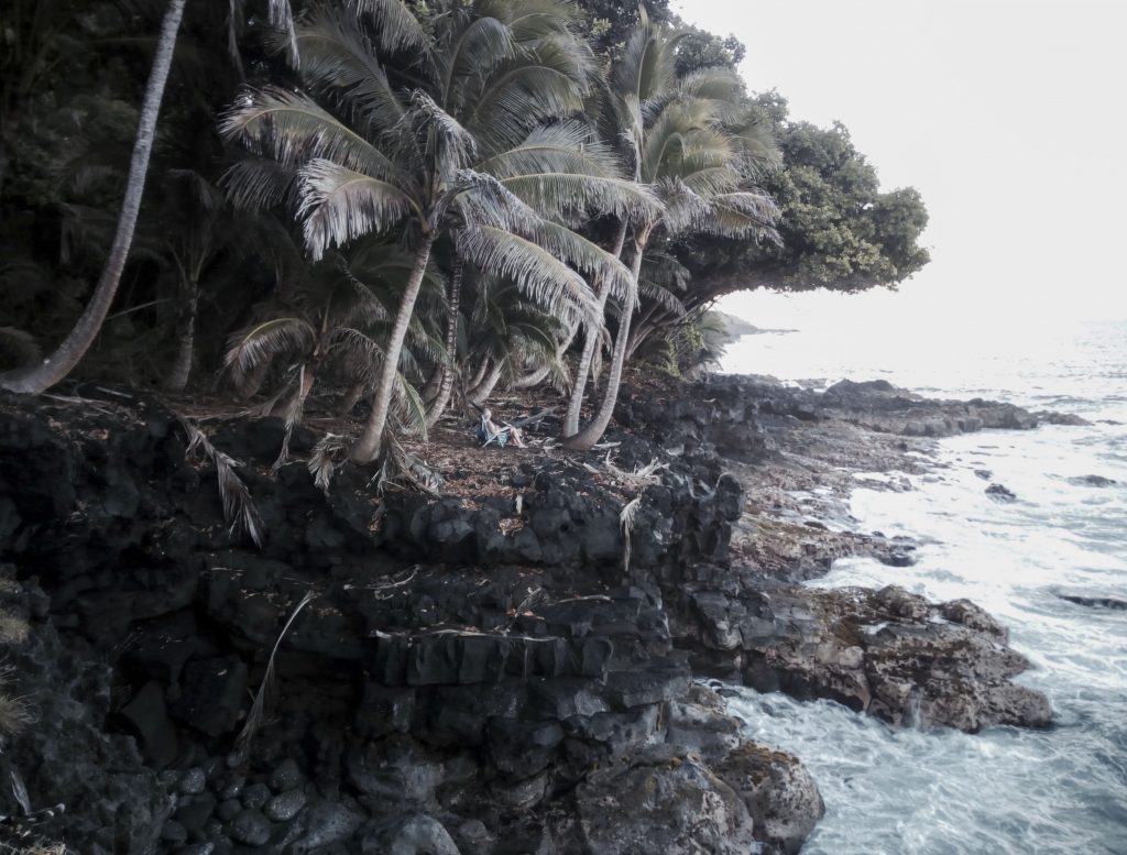 Coastline, Red Road, Hawaii