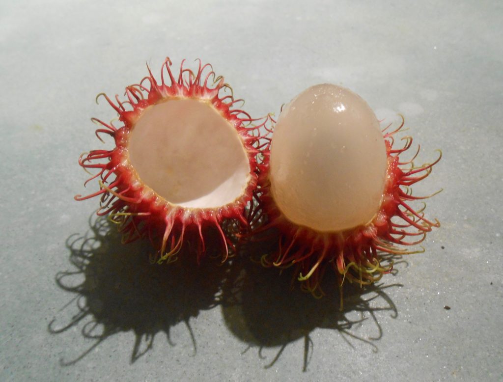 Rambutan