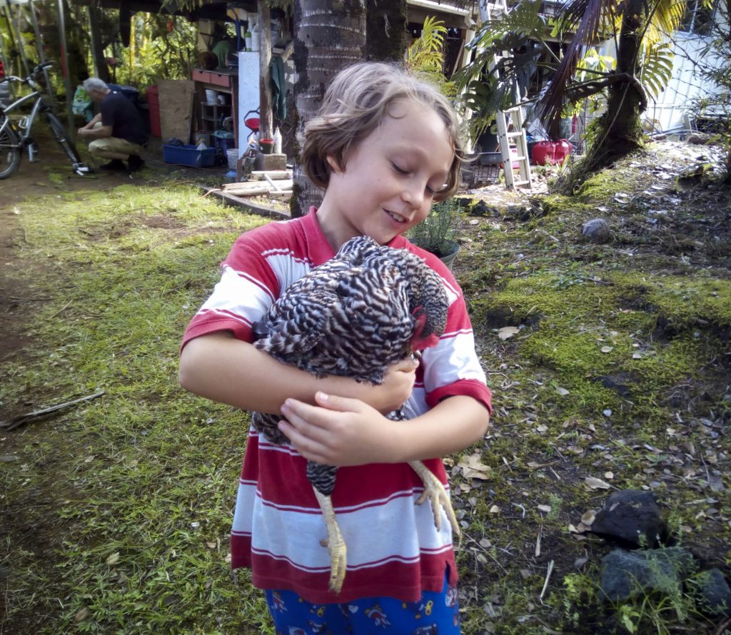 Forest und ein Huhn