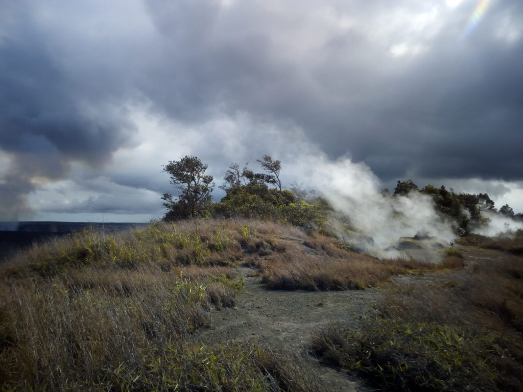 Dampfschlote auf dem Kilauea Vulkan, Hawaii 