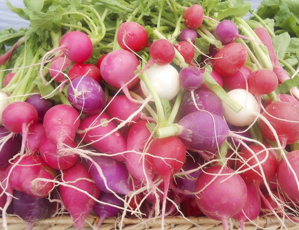 Radieschen auf dem Waimea Town Market